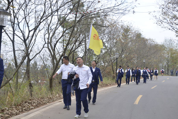 陽光行、快樂游